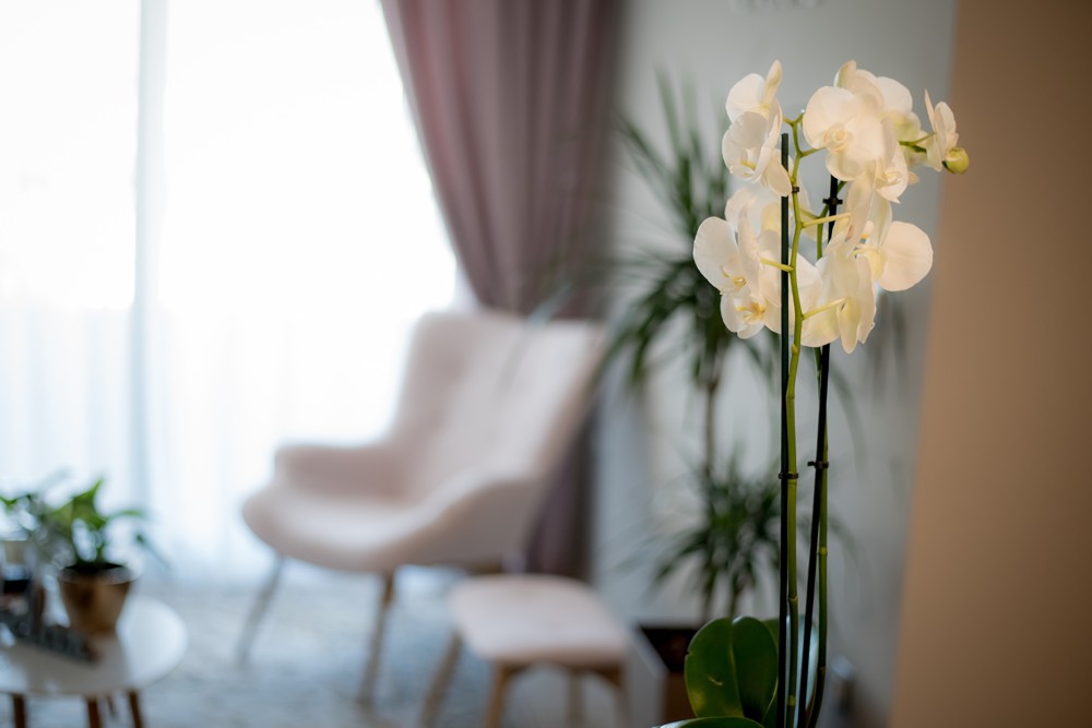 Υπηρεσίες μασάζ Θέρμη Υπηρεσίες μασάζ Θέρμη